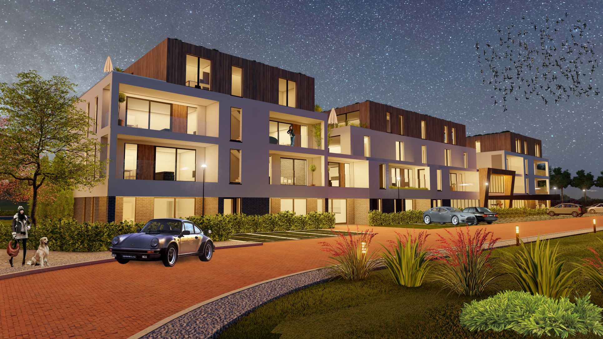 53_1 edited v1.00 small