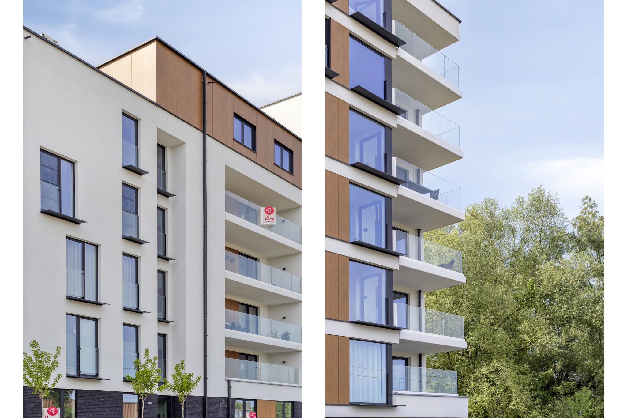 https___s3.eu-central-1.amazonaws.com_iam-project-pictures-02_b58f9413-c027-4fe0-8809-10bdb309ebd4_image11851553